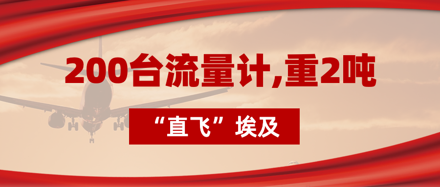 200臺(tái)流量計(jì)“直飛”埃及，重2噸，運(yùn)費(fèi)10萬(wàn)